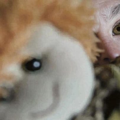 Segurança Social absolvida de falsear relatório que privou mãe de duas filhas