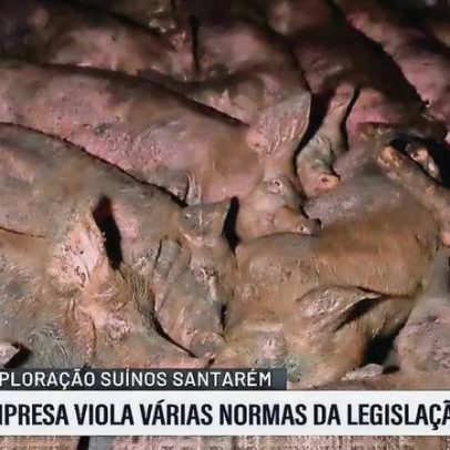 Jovem detido com cinco gramas de liamba queixa-se de agressões na GNR