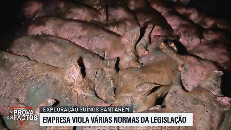 Jovem de 17 anos foi assistido no Hospital das Caldas da Rainha