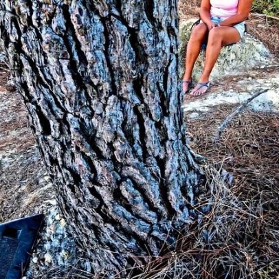 Advogado condenado por associar colega a prostituição