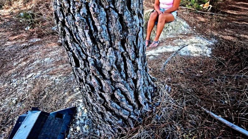 A mata de Pigeiros é um local, em Santa Maria da Feira, conotado com a prostituição