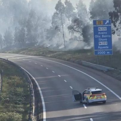 Recuperação de diques no Mondego avança em várias frentes