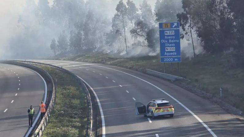 Trabalhos sob o viaduto da A1 que colapsou na zona de Coimbra