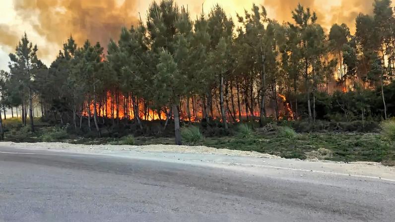 Pelas 20 horas, mantinham-se no combate às chamas 211 operacionais