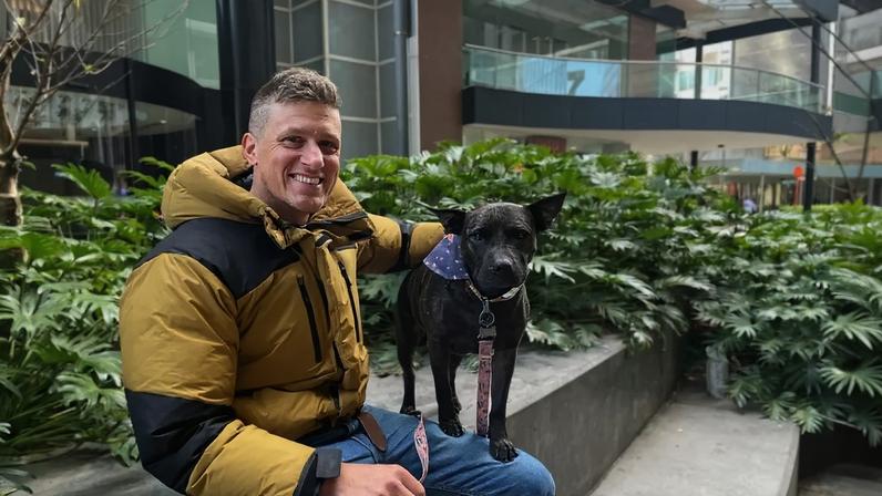 Australiano usa IA para salvar cadela com cancro