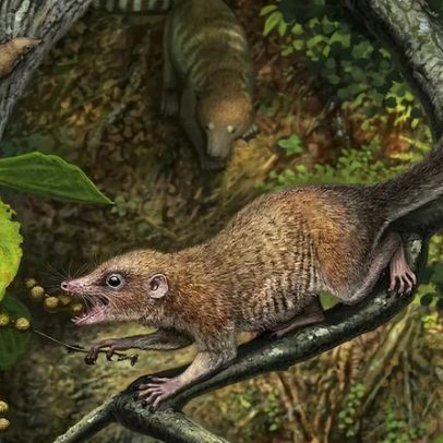 Cientistas descobrem o sistema estelar quádruplo mais compacto já descrito