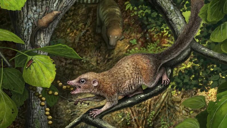 Foto: ESA/Hubble & NASA/Judy Schmidt