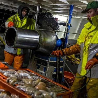 Pescadores ameaçam parar por rejeição ao diário eletrónico