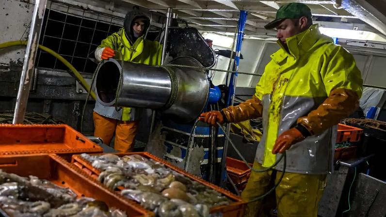 Limitação a indonésios persiste apesar das promessas do Governo