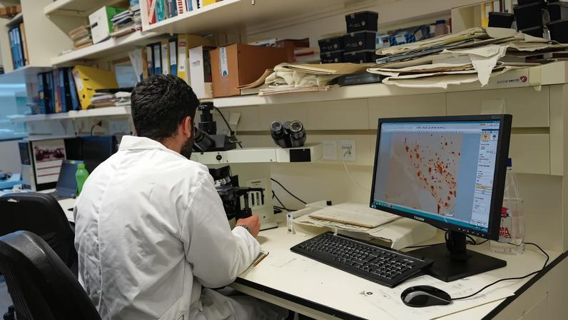 Universidades cobram taxa para gerir bolsas da FCT