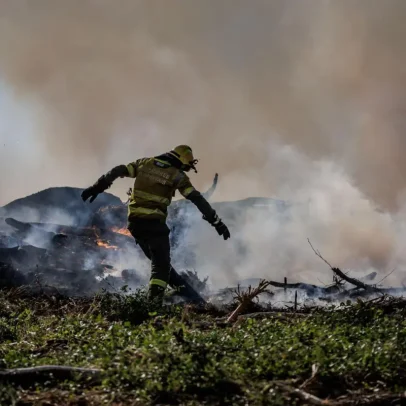 Pedido para nomear peritos da comissão dos incêndios chegou na semana passada