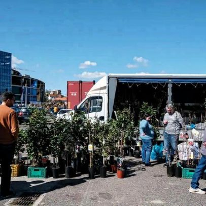 Reabertura da feira de Leiria: árvores 'voaram' e molas esgotaram