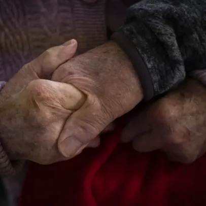 Conexão entre o sistema digestivo e o cérebro pode afetar a memória