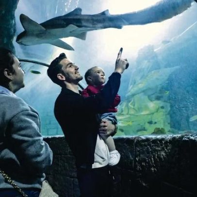 Seguro propõe critérios de igualdade para acabar com a discriminação salarial