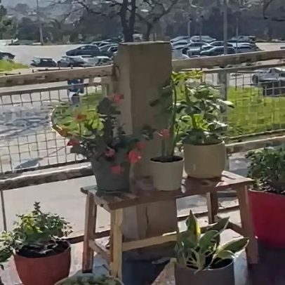 Doações financiaram a renovação da varanda do Hospital de Gaia