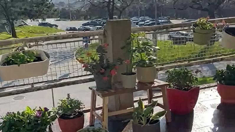 Varanda de 50 metros quadrados no Hospital Santos Silva, em Gaia, foi recuperada por família de doente