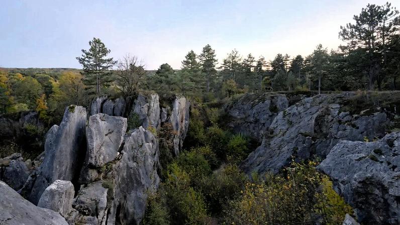 Reserva Natural Fondry des Chiens é das principais atrações naturais da Bélgica