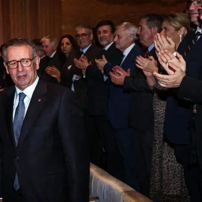 Outros animais também procuram conforto em brinquedos, além de Punch