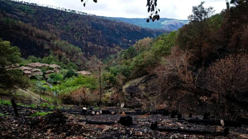 Cadastro simplificado gratuito até 30 de junho