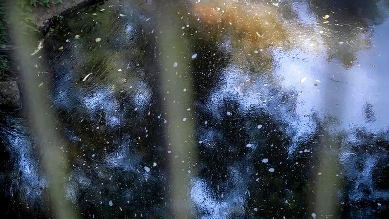 Movimento alerta para poluição contínua no Rio Ferreira