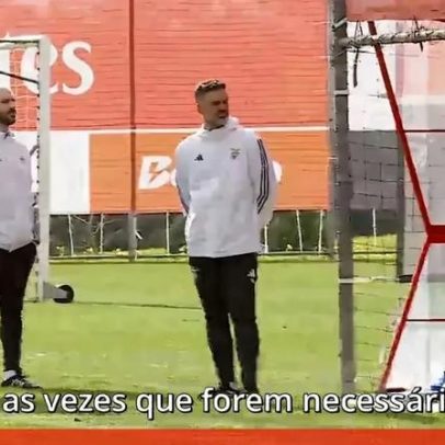 Conselho abre processo a assessor do Benfica por agressões a jornalista