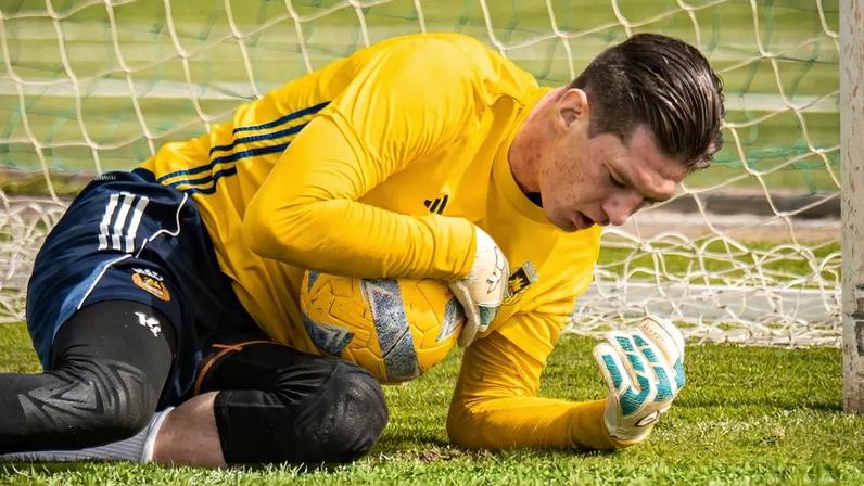 Miszta a trabalhar com bola