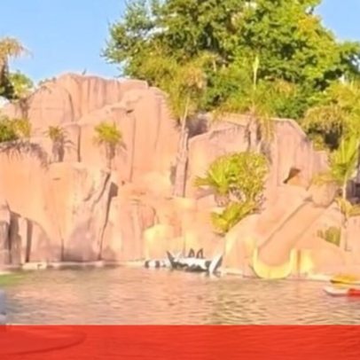 Carlos Tévez mostra mansão com piscina gigante e matraquilhos