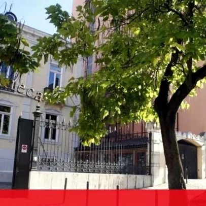 Festival Monstra celebra 25ª edição sobre natureza e 50 anos da Aardman