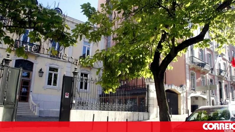 Festival Monstra celebra 25ª edição sobre natureza e 50 anos da Aardman