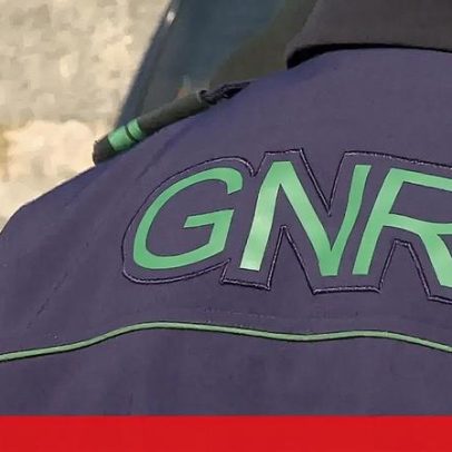GNR regista mais de 200 fiscalizações de mercadoria em todo o país