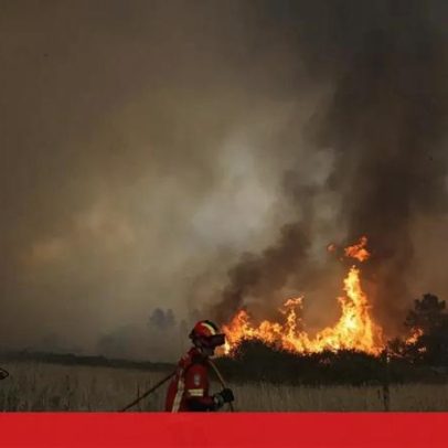 Governo cria projeto APIS para prevenir incêndios em áreas protegidas