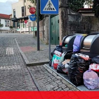 Ações contra crimes ambientais com apreensão de resíduos e multas