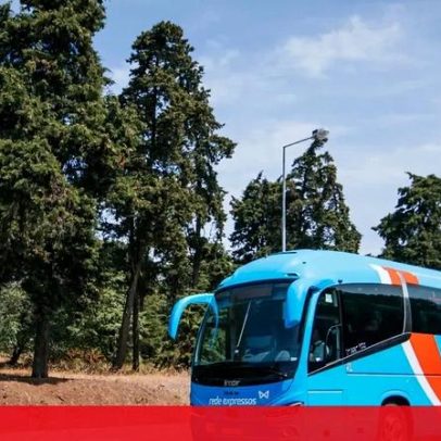 Tribunal dá razão à FlixBus e ordena acesso ao Sete Rios pela Rede Expressos