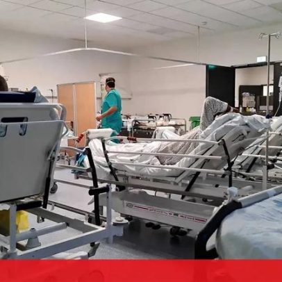 Peritos recomendam portal único para gestão de dados de saúde pelo cidadão