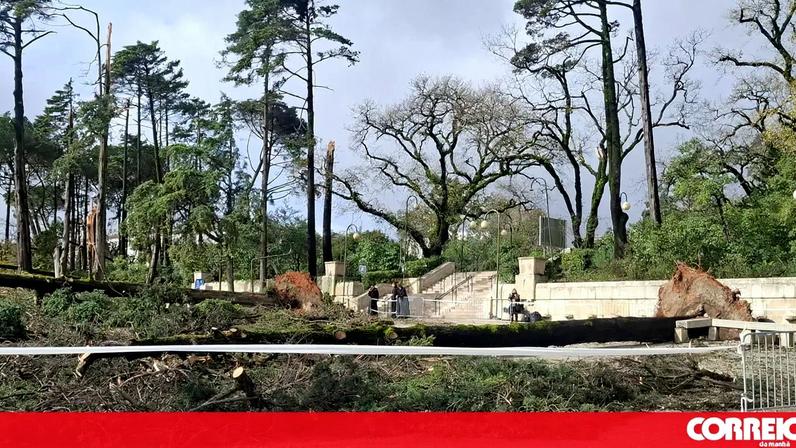 Estragos no Santuário de Fátima após rajadas de vento derrubarem árvores