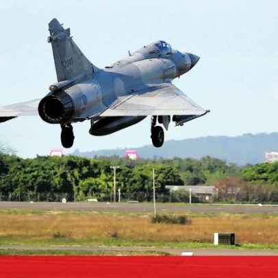 Borboleta da Ilha Formosa fascina cientistas