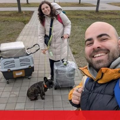 Casal processa TAP após proibição de viajar com o cão