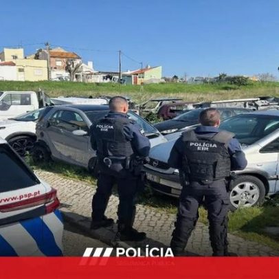 PSP apreende 47 viaturas na fiscalização ambiental