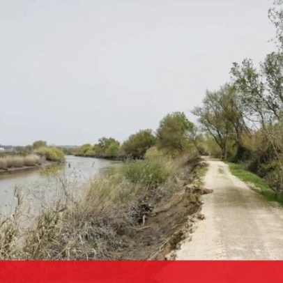 Abandono no Vale do Tejo força agricultores a manter o território com remendos