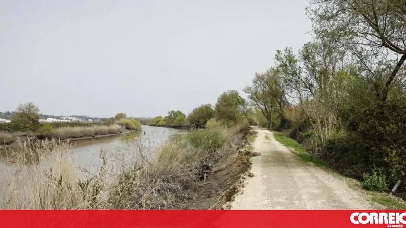 Abandono no Vale do Tejo obriga agricultores a manter o território com remendos