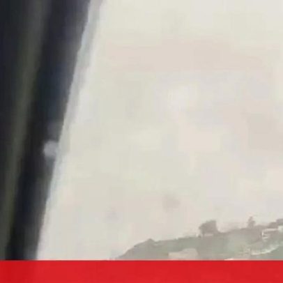 Três cavalos à solta causam pânico junto ao Túnel do Grilo