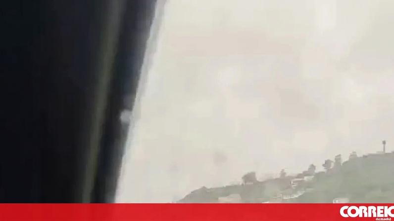 Três cavalos à solta causam pânico junto ao Túnel do Grilo