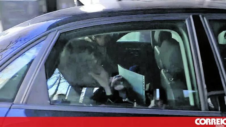 400 mil euros em luvas na Câmara de Lisboa: PJ vigiou almoços com empresários