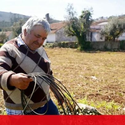 Porto de Mós continua a enfrentar tempestades; cabos caídos atrasam agricultores