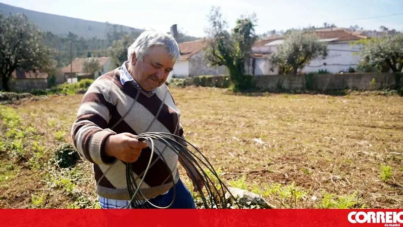 Porto de Mós continua a enfrentar tempestades; cabos caídos atrasam agricultores