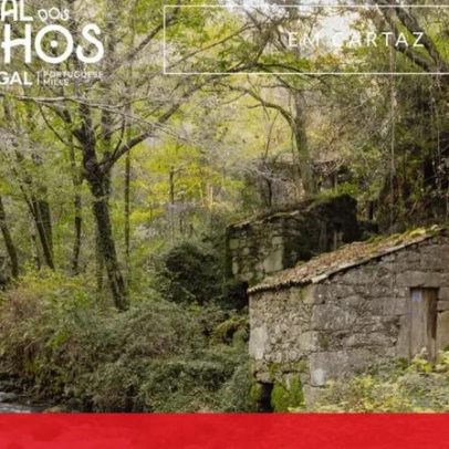 Festival dos Moinhos regressa a Sever do Vouga