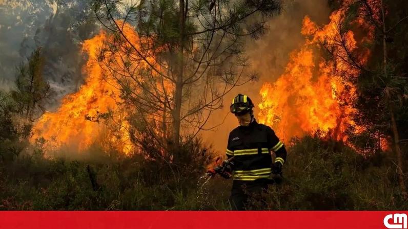Incendiário reincidente Castelo de Paiva condenado a cinco anos e meio de prisão