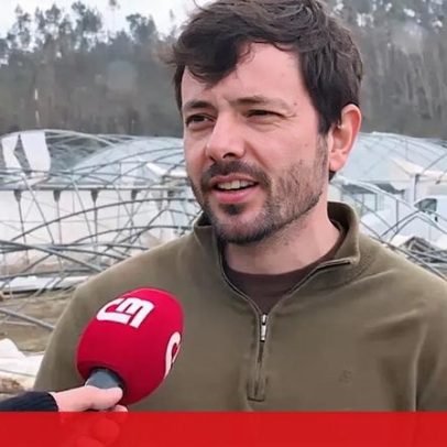 Proprietário agrícola de Leiria confia na recuperação das estufas
