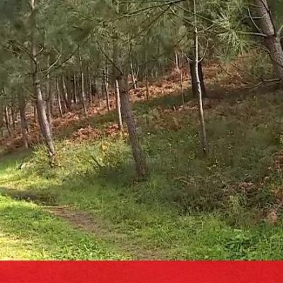 Ossada humana encontrada em Braga está a ser investigada