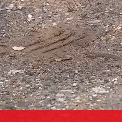 PJ investiga ossadas humanas encontradas em Braga